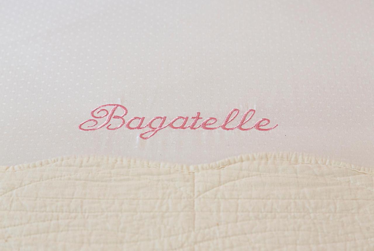 Bagatelle Bed & Breakfast En Touraine 武夫赖 外观 照片